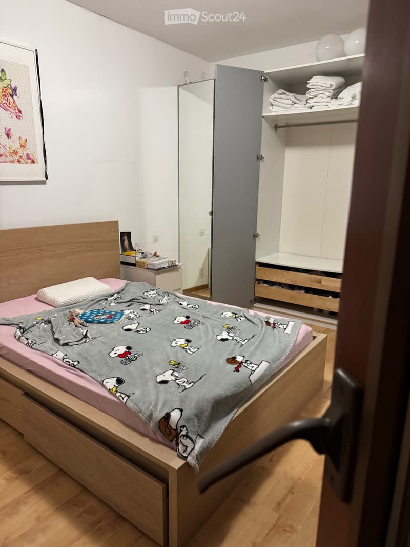 Cerco subentrante (4)
