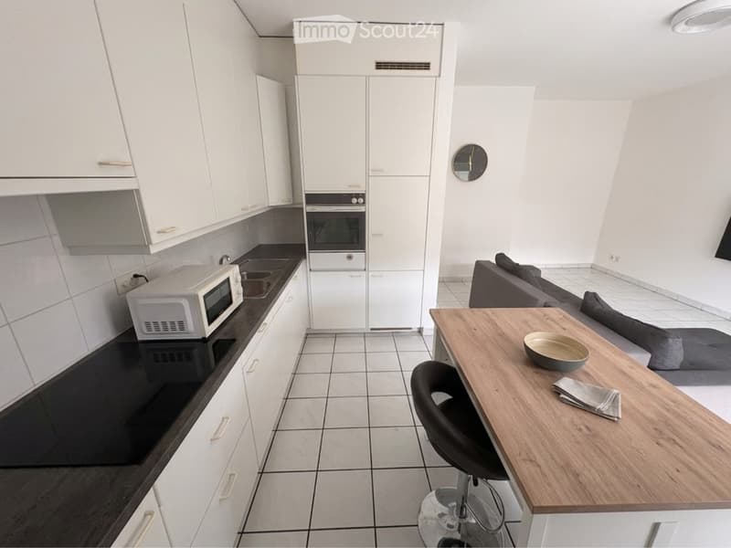 CERCO SUBENTRANTE 2,5 A CHIASSO (2)