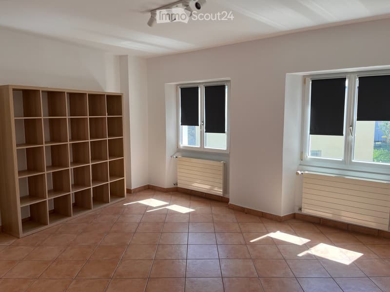 Luminoso Appartamento di 4 locali con entrata indipendente (3)