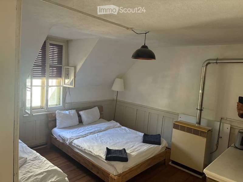 Heimelige Dachwohnung (3)