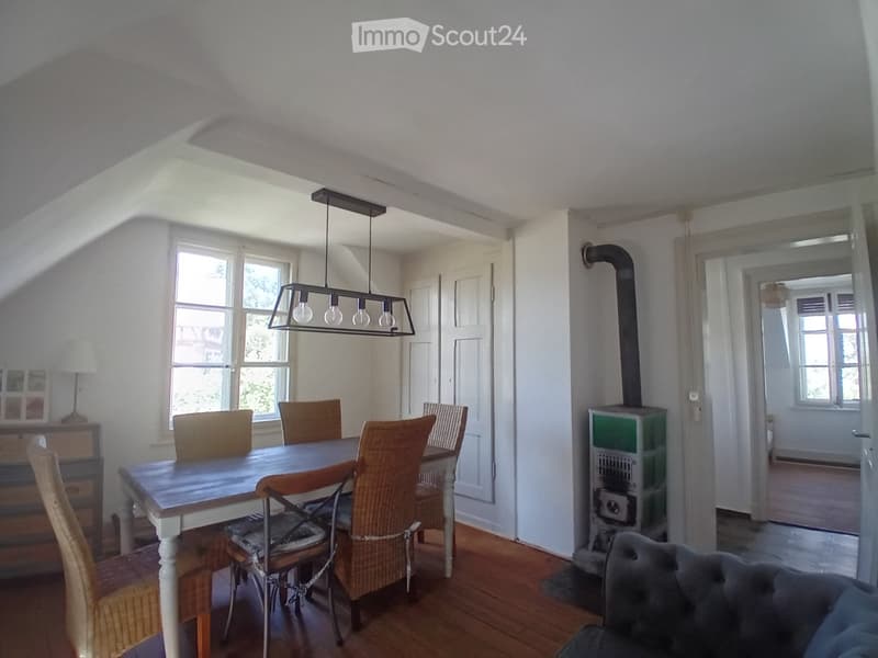 Heimelige Dachwohnung (1)