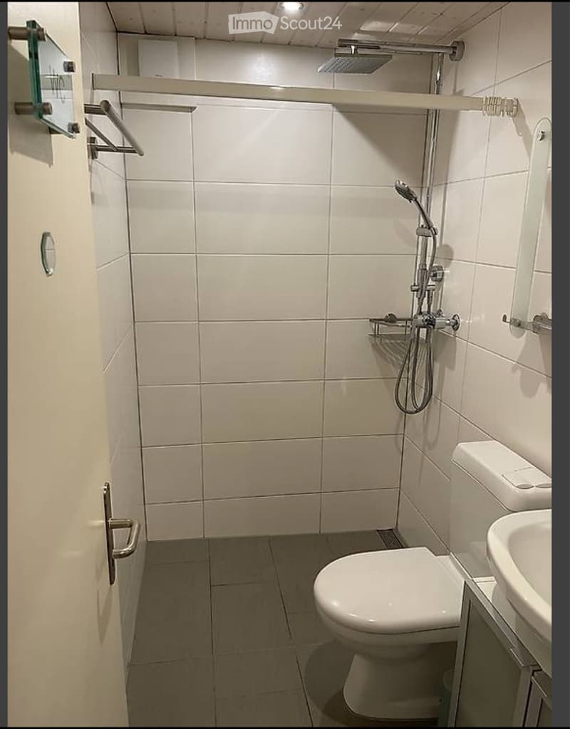 Ruhige 1.5-Zi. Einliegerwohnung mit traumhafter Seesicht (3)