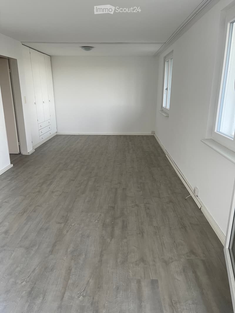Ruhige 1.5-Zi. Einliegerwohnung mit traumhafter Seesicht (2)