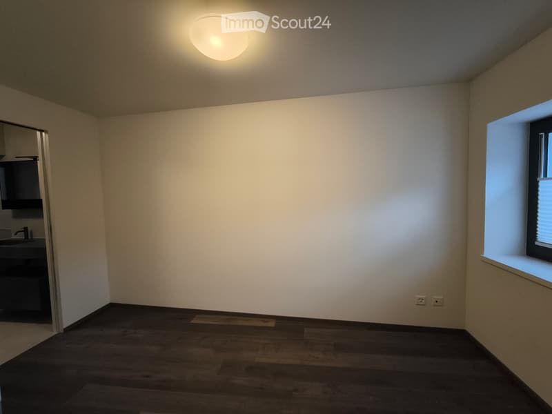 Affitto casa 3.5 locali CHF 2100 (10)