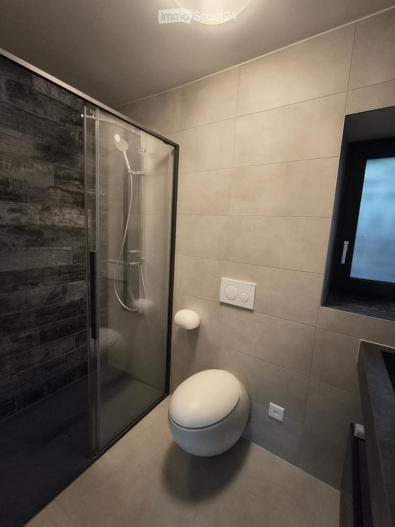 Affitto casa 3.5 locali CHF 2100 (11)