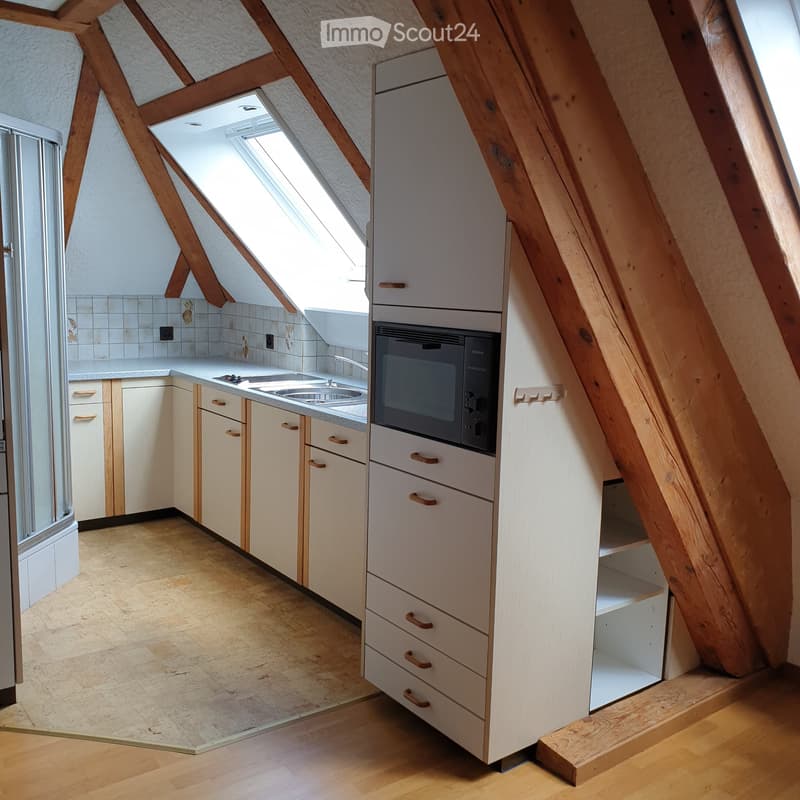 2 Zimmer Studio Wohnung (2)