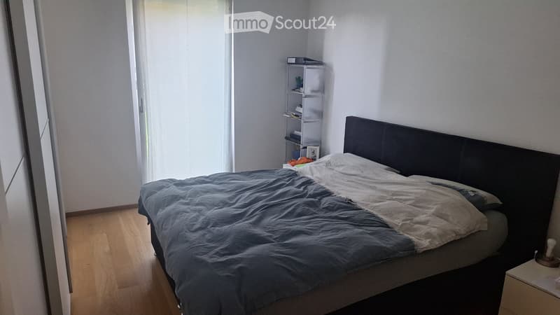 Appartamento 3.5 (3)