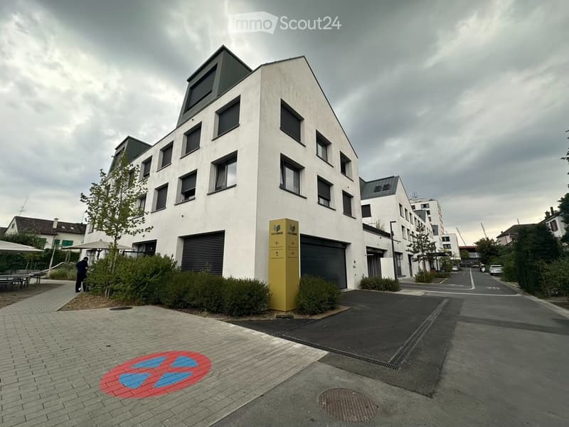Befristet, möbliert: Moderne Maisonette mit Dachgarten (12)