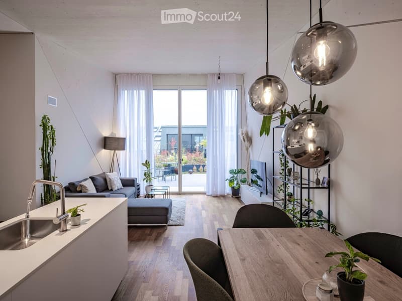 Befristet, möbliert: Moderne Maisonette mit Dachgarten (1)