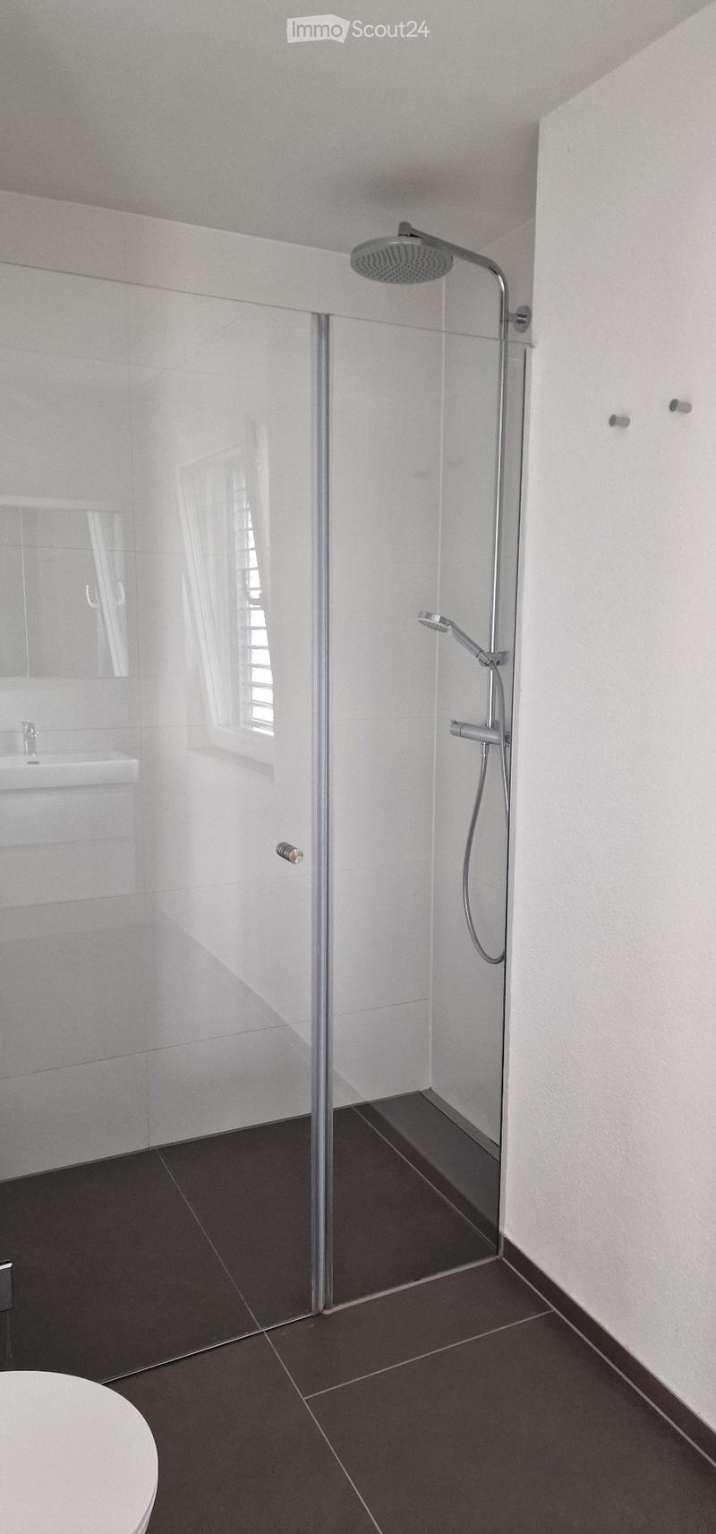 Moderne 3.5-Zimmerwohnung in Zürich-Affoltern zu vermieten (3)