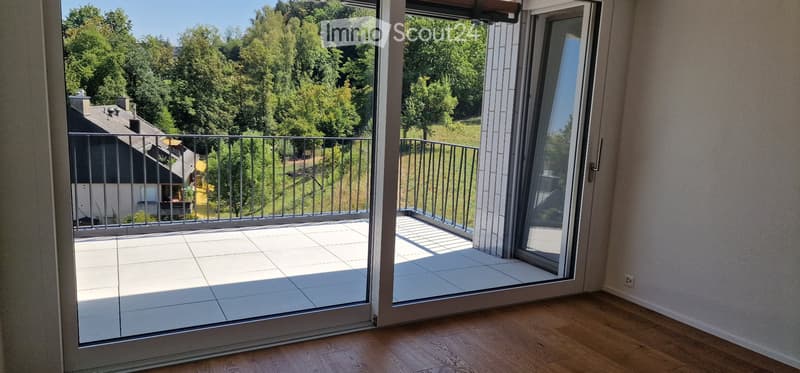 Erstvermietung komfortable 3.5-Zimmerwohnung (3)
