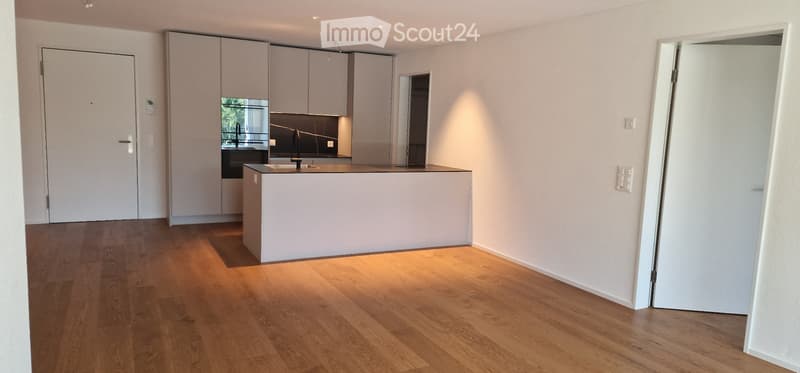 Erstvermietung komfortable 3.5-Zimmerwohnung (1)