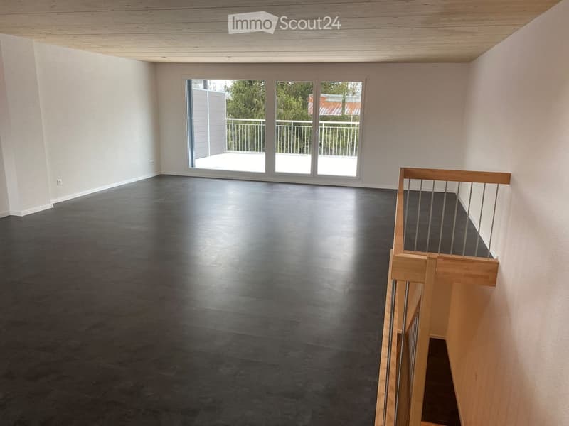 Grosse 4.5 Zi Duplex-Wohnung (146m2) im Grünen mit Terrasse (3)