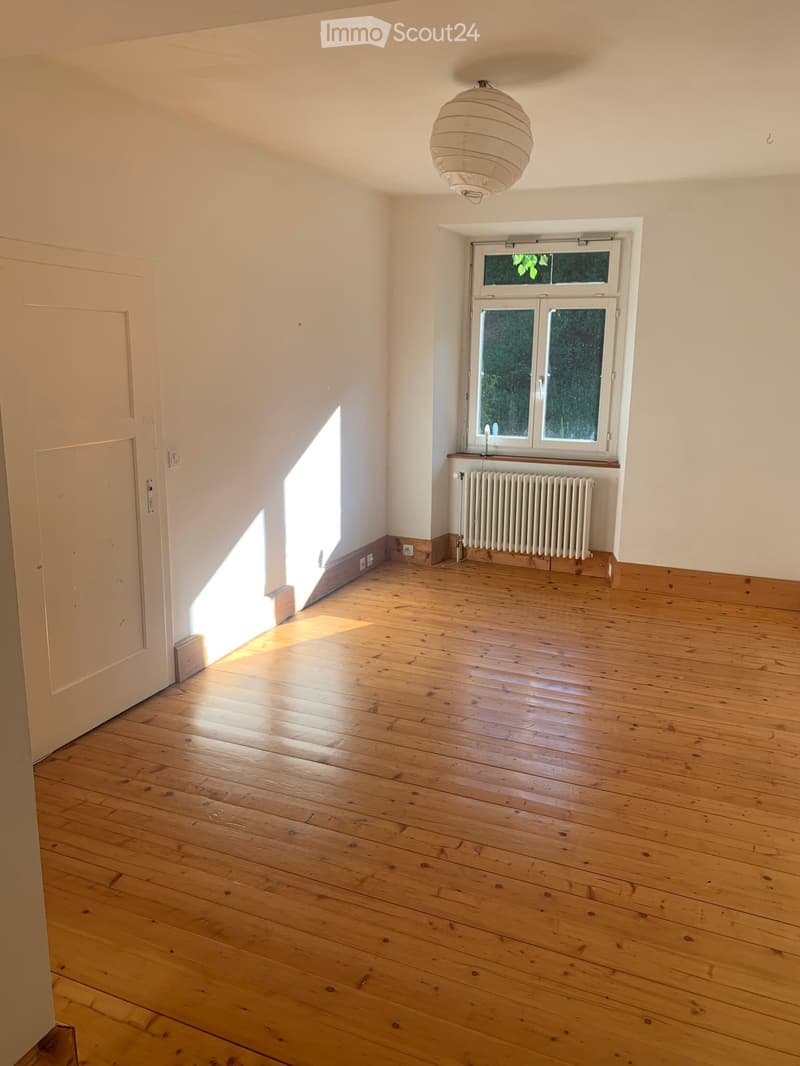 7-Zimmer-Wohnung in Hausgemeinschaft in Beinwil SO m. Garten (4)