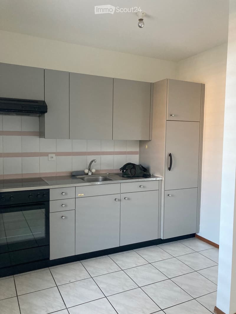 Appartamento 2,5 locali (4)
