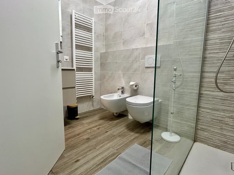 Affitto Appartamento 2.5 arredato - 1600fr (3)