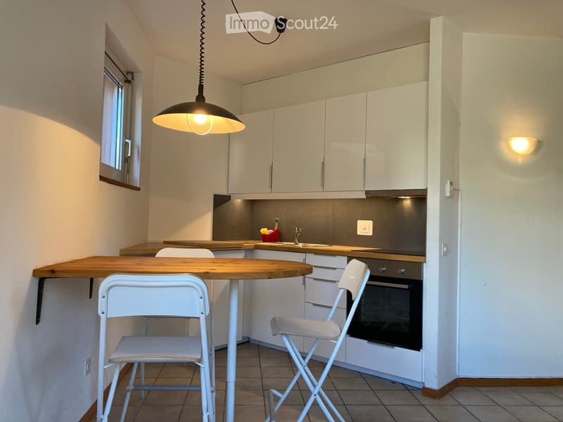 Luminoso monolocale (2)