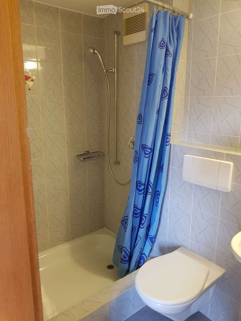 möbilierte 1-Zi-Wohnung (3)