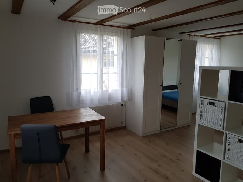 möbilierte 1-Zi-Wohnung (1)