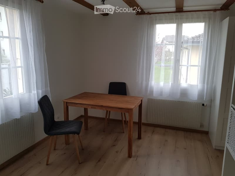 möbilierte 1-Zi-Wohnung (2)