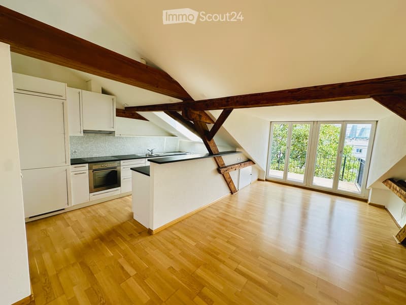 Charmante Loft-Dachwohnung an der Beinwilerstrasse in Basel (1)