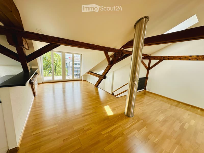 Charmante Loft-Dachwohnung an der Beinwilerstrasse in Basel (2)