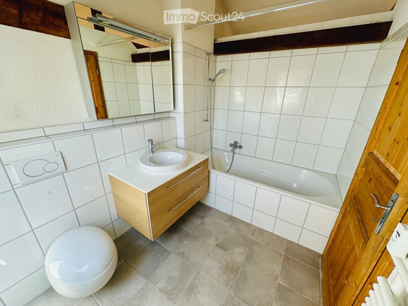 Charmante Loft-Dachwohnung an der Beinwilerstrasse in Basel (4)