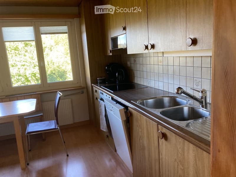 Grosse möblierte 3.5 Stöckliwohnung EG auf Zeit zu vermieten (3)