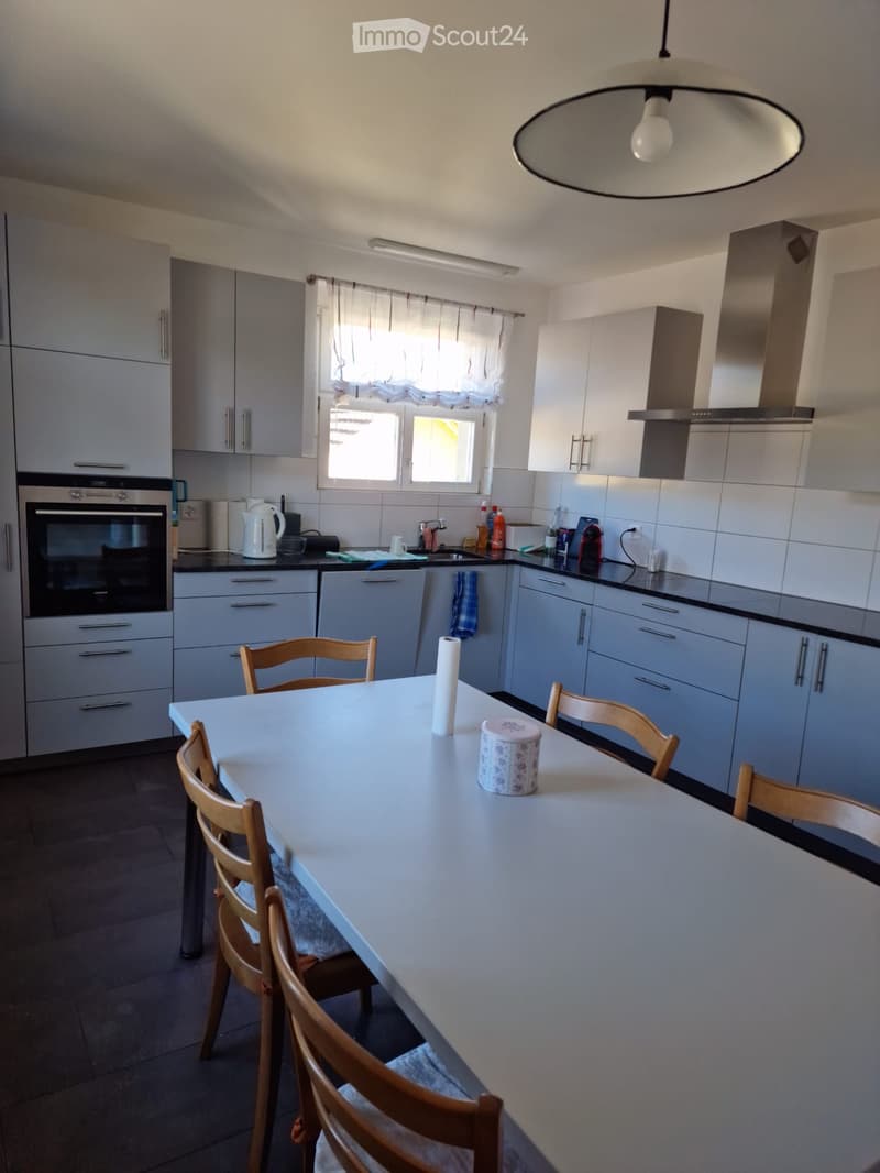 sehr grosse wohnung zu vermieten (2)
