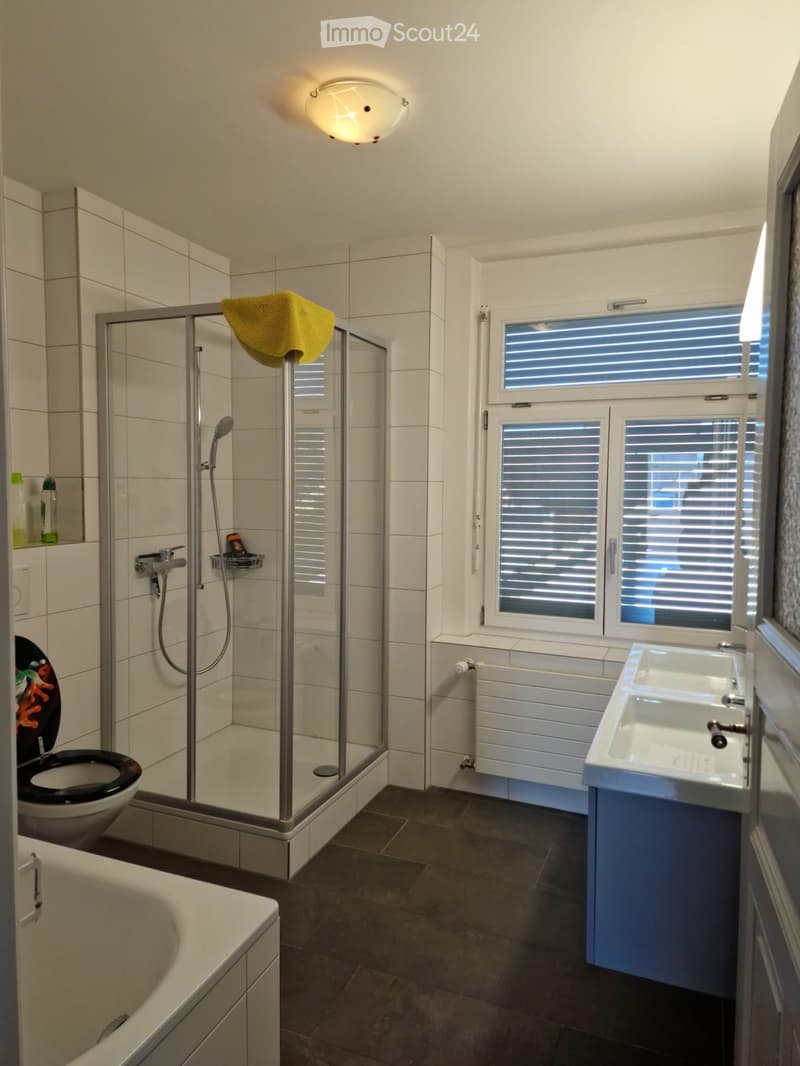 sehr grosse wohnung zu vermieten (4)