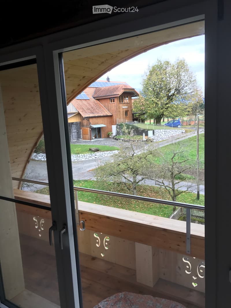 2,5 Zimmer Wohnung auf Bauernhof (5)