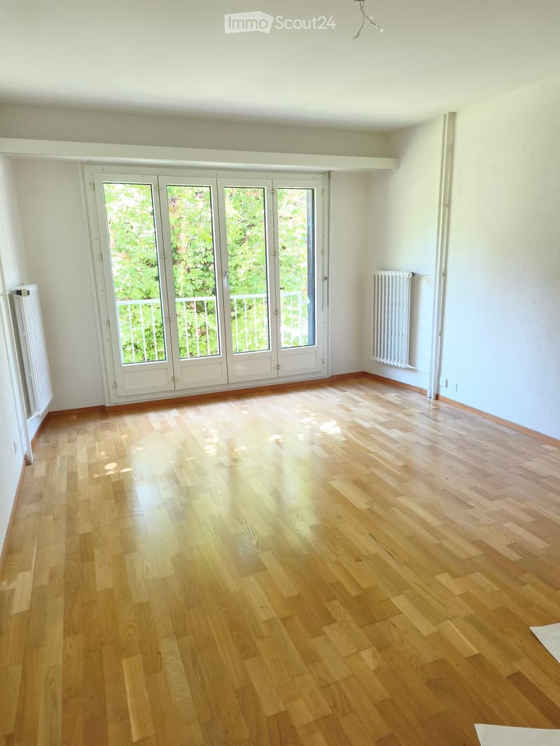 1-Zi.-Wohnung Bern Nachmieter/in gesucht ab 1. September (3)