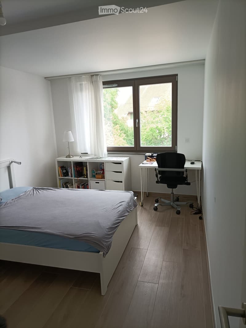 Modern Apartment in Confignon (3)
