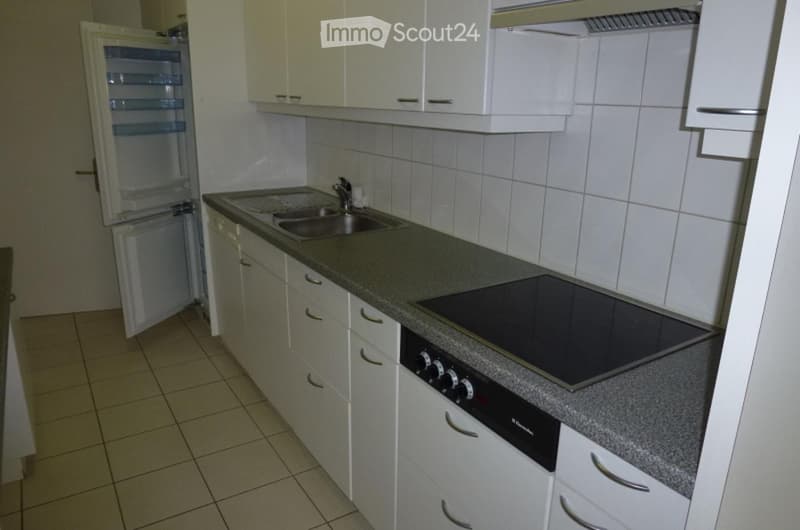 Nachmieter gesucht:4.5 Maisonette in Binningen Nähe Zoo BS (2)
