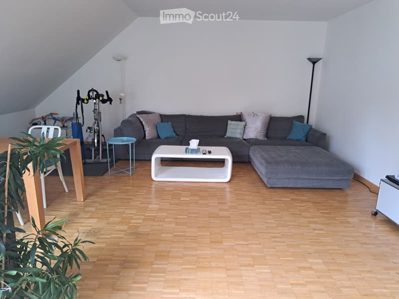 Frick - Nachmieter gesucht (1)