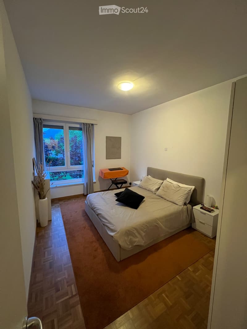 2.5 locali ristrutturati in centro Lugano/zona USI (2)