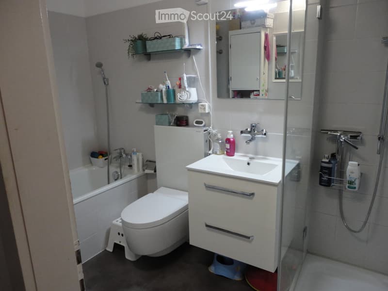 Zu vermieten schöne 3.5 Zimmerwohnung (3)