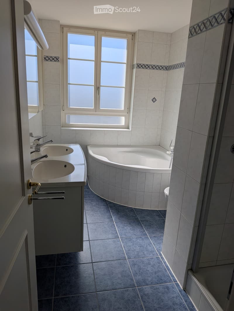A louer grand appartement, zu vermieten grosse Wohnung (4)