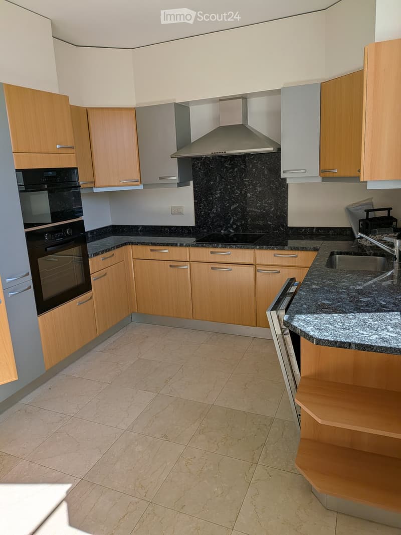 A louer grand appartement, zu vermieten grosse Wohnung (1)