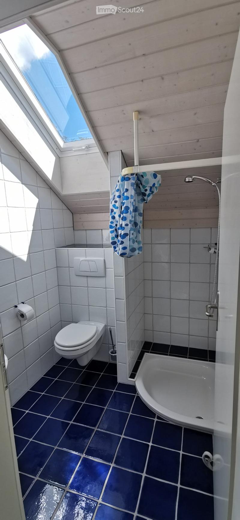 Grosse, helle 3.5 Zi. Wohnung ab 1. Nov. (4)