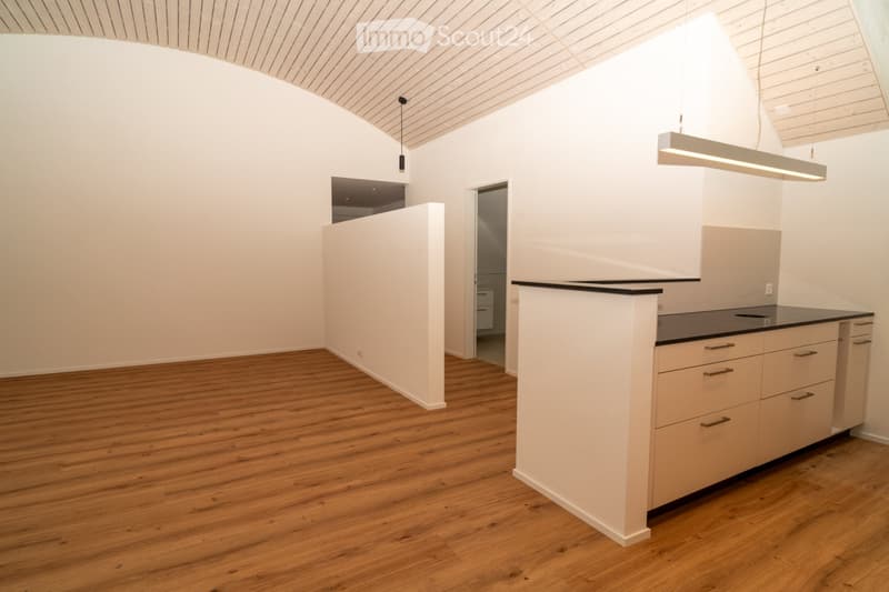 3.5 Zimmer Attikawohnung (4)