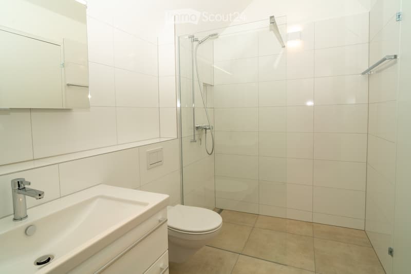 3.5 Zimmer Attikawohnung (3)