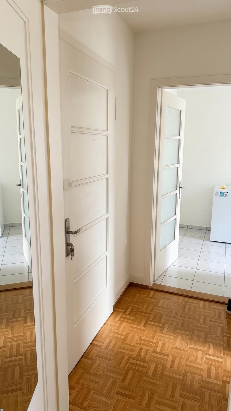 Schöne 1-Zimmerwohnung in Basel per sofort zu vermieten. (1)