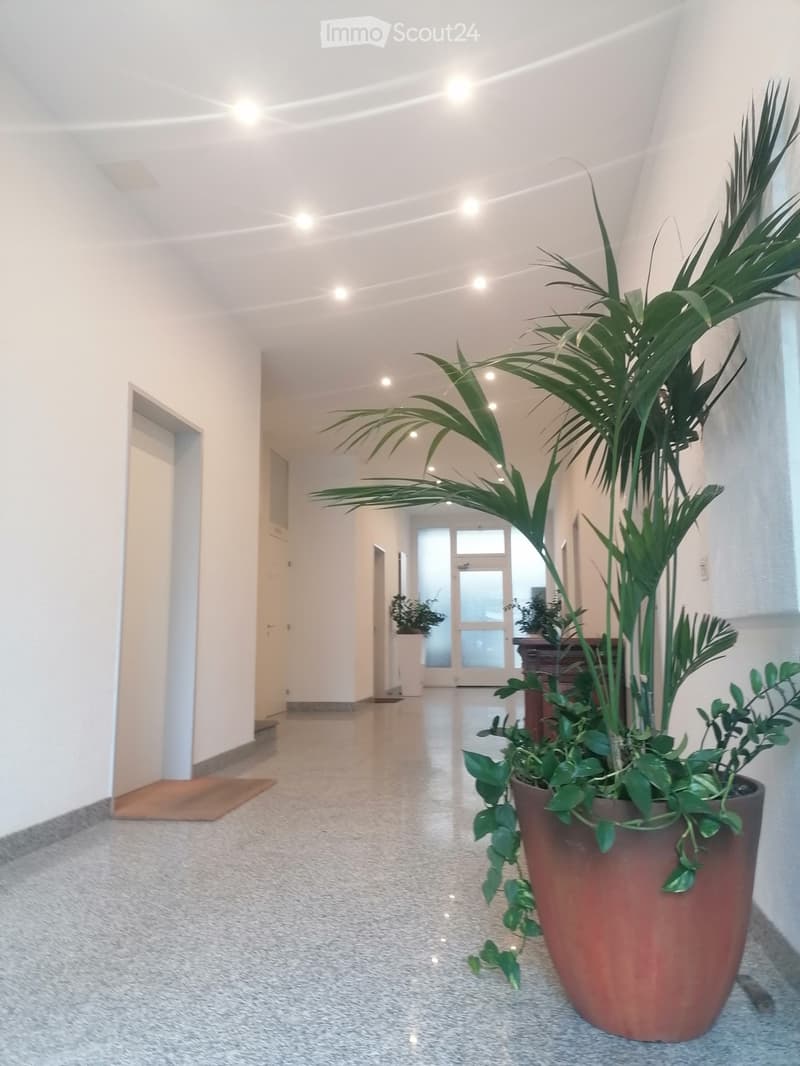 Appartamento - Studio - Ufficio (1)