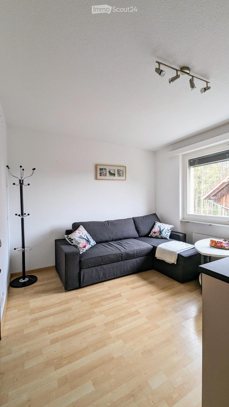Vollmöblierte 1.5 Zimmer-Wohnung zu vermieten (1)