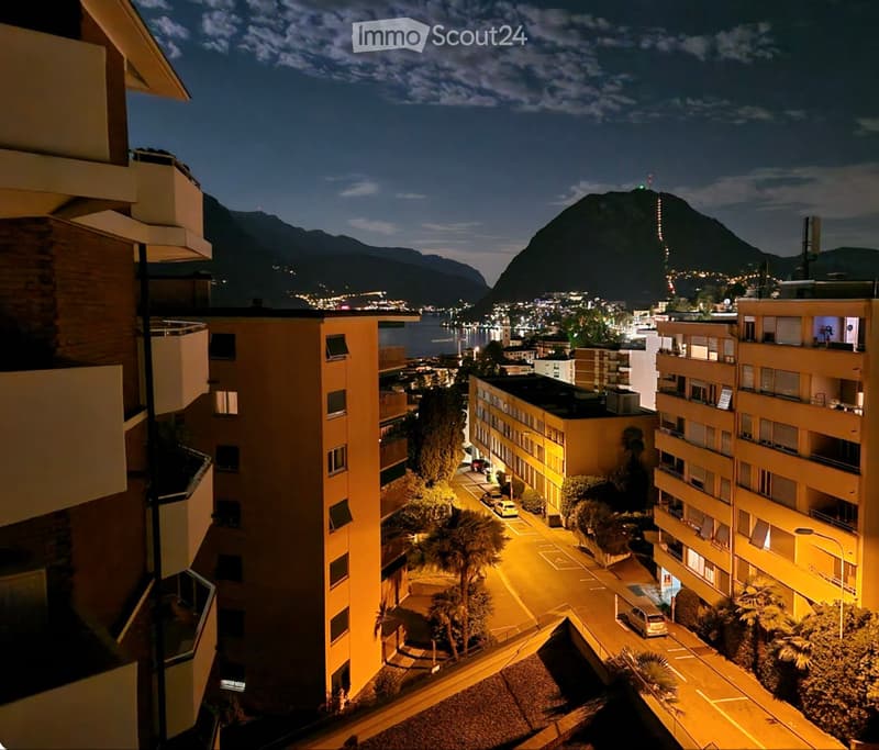 Lugano zona Stazione - Appartamento arredato 4 locali (5)