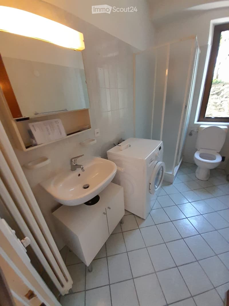 Appartamento 3 Locali Locarno (3)