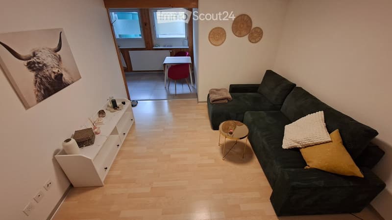 2-Zimmer Wohnung im Sockelgeschoss, zentrale Lage ab 1.11.26 (8)