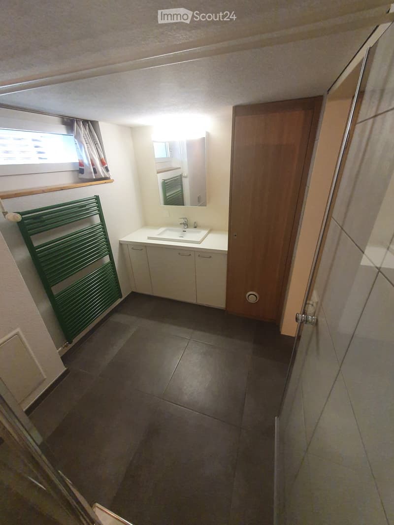 2-Zimmer Wohnung im Sockelgeschoss, zentrale Lage ab 1.11.26 (12)