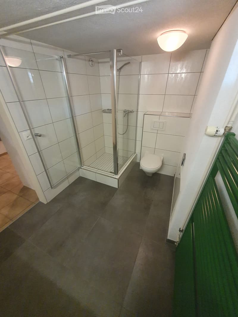 2-Zimmer Wohnung im Sockelgeschoss, zentrale Lage ab 1.11.26 (11)